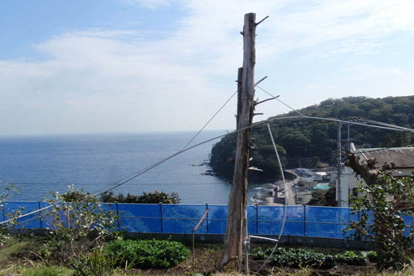 真鶴駅から徒歩25分海の景観抜群