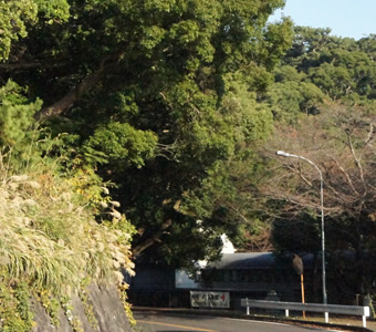 真鶴町立中川一政美術館